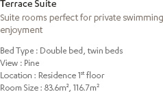 Terrace Suite