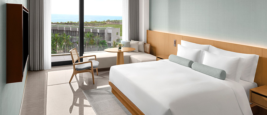 Deluxe room image 1