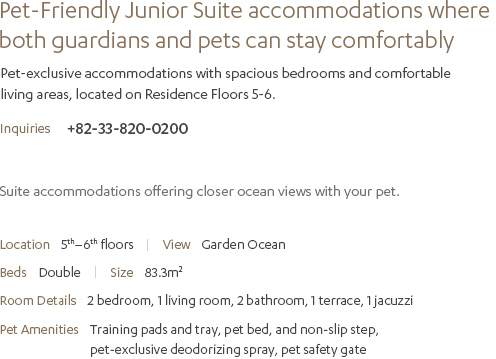 Pet Friendly Junior Suite
