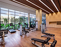 <p>A special space for the systematic management of your fitness, keeping you in the best of health</p>