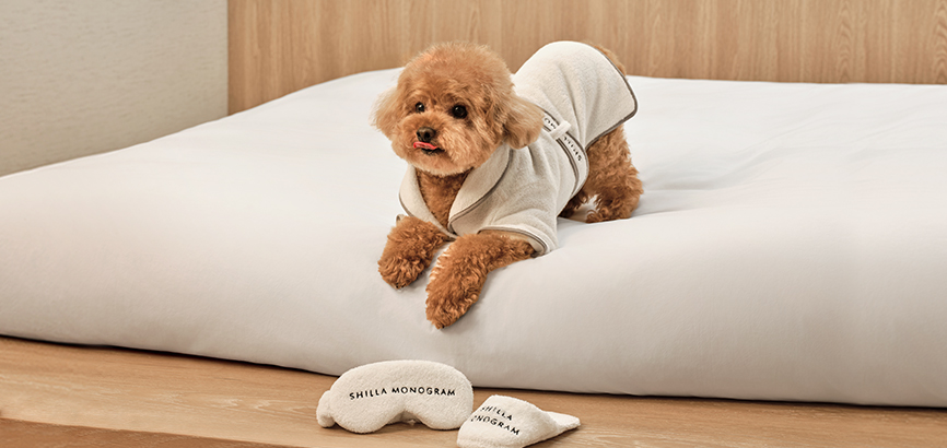 함께여서 더 특별한 순간, 사랑하는 반려견을 위한 선물. 신라모노그램 강릉에서 준비한 귀여운 펫 기프트로 잊지 못할 추억을 만들어 보세요.