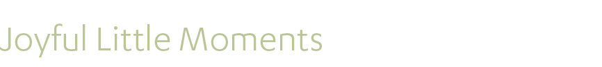Joyful Little Moments