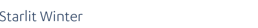 Starlit Winter 