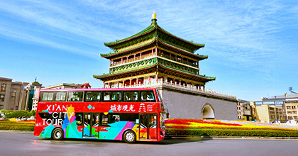 Sightseeing bus tour