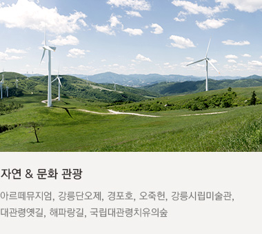 자연 & 문화 관광